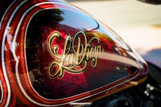 Spotlight_2_0_im_Movie_Park_2024_191