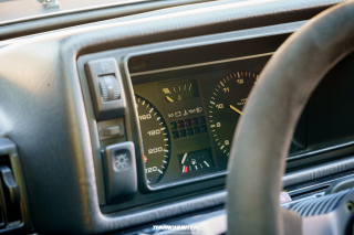 Spotlight_2_0_im_Movie_Park_2024_231