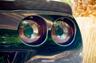 Spotlight_2_0_im_Movie_Park_2024_282