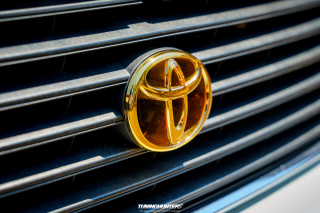 Spotlight_2_0_im_Movie_Park_2024_397