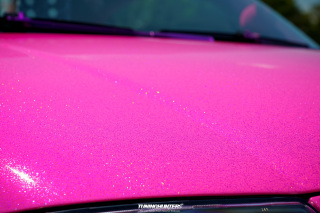 Spotlight_2_0_im_Movie_Park_2024_604