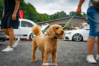 The_Adventure_122 The_Adventure_122