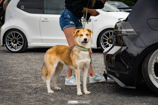 The_Adventure_186 The_Adventure_186