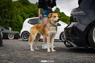 The_Adventure_187 The_Adventure_187