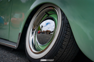 The_Adventure_263 The_Adventure_263