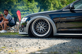 The_Adventure_277