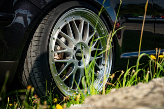 The_Adventure_321 The_Adventure_321