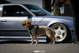 The_Adventure_367 The_Adventure_367