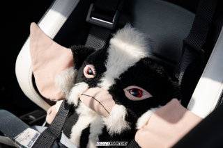 The_Adventure_432 The_Adventure_432