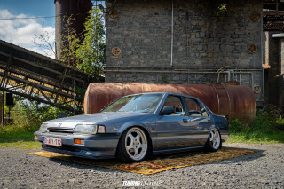 The_Adventure_473 The_Adventure_473