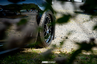 The_Adventure_481 The_Adventure_481