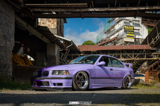 The_Adventure_488 The_Adventure_488