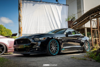 The_Adventure_493