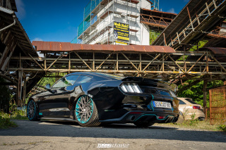 The_Adventure_495