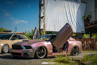 The_Adventure_497 The_Adventure_497