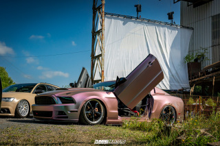 The_Adventure_498 The_Adventure_498