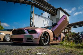 The_Adventure_499 The_Adventure_499