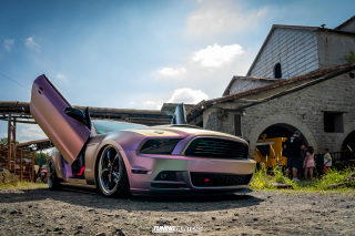 The_Adventure_501 The_Adventure_501