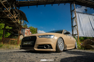 The_Adventure_503 The_Adventure_503