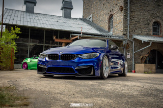 The_Adventure_548