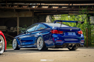 The_Adventure_553 The_Adventure_553