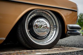 The_Adventure_594 The_Adventure_594