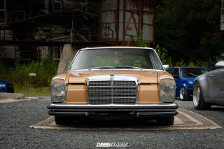 The_Adventure_595