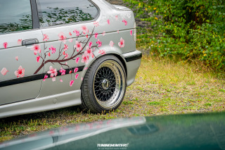 The_Adventure_-_Keep_Rolling_2024__355