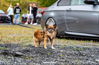 The_Adventure_-_on_the_Rocks_2024_0580