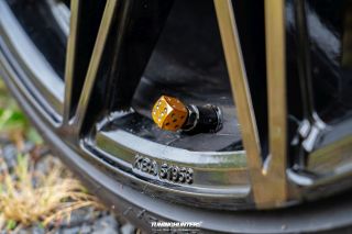 The_Adventure_-_on_the_Rocks_2024_0979