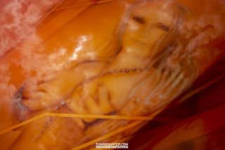 Tuning_Total_Kaunitz_22_05_2008-108