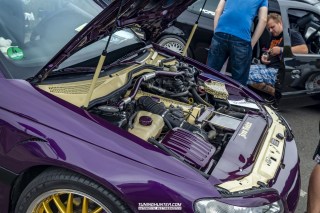 IMGP4842