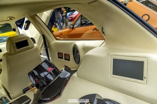 IMGP4955