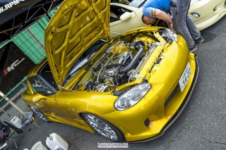 IMGP8807