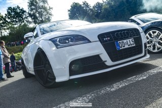 IMGP8850