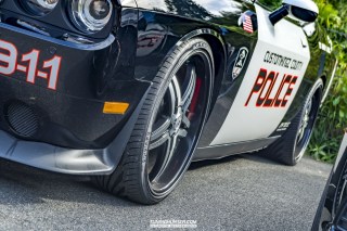 IMGP8886