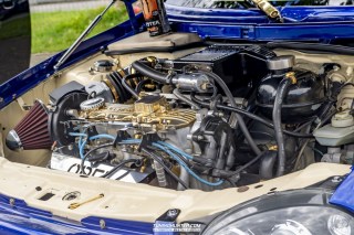 IMGP5696