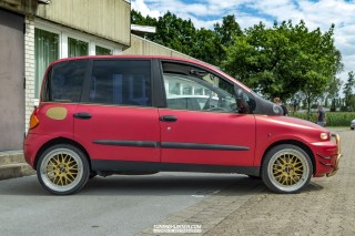IMGP5818