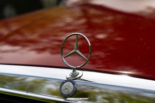 TuningManiacs_TMCC24_0132