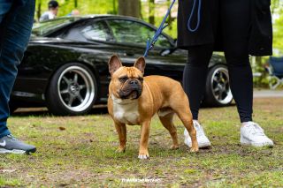 TuningManiacs_TMCC24_0611