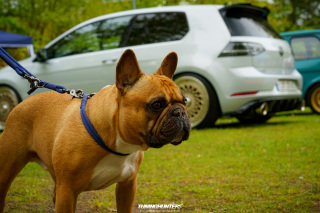 TuningManiacs_TMCC24_303