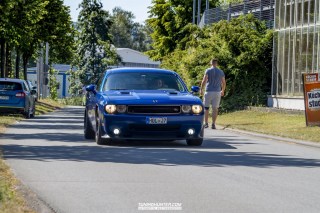 IMGP8129