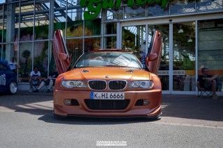 IMGP8382