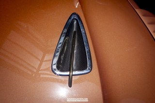 IMGP8385
