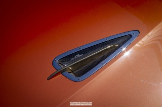 IMGP8387