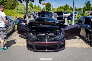 IMGP8633