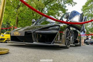 VIP_Szene_Bielefeld_Sommerfest_2022-116