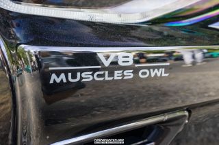 VIP_Szene_Bielefeld_Sommerfest_2022-151