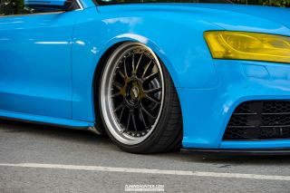 VIP_Szene_Bielefeld_Sommerfest_2022-439