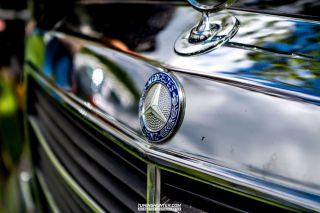 Youngtimer_Show_2019_Saisonstart-151